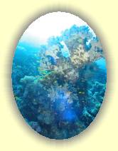 IMG_2007_05_27 17_48_55 * 1665 x 2224 * (543KB)